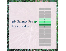 Blue Nectar Shubhr Steam Distilled Vetiver Toner Water & Cooling Calming Face Tonic Mist |Alcohol Free | Chemical & Preservative Free (100 ml)