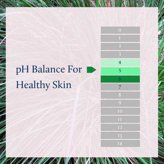 Blue Nectar Shubhr Steam Distilled Vetiver Toner Water & Cooling Calming Face Tonic Mist |Alcohol Free | Chemical & Preservative Free (100 ml)