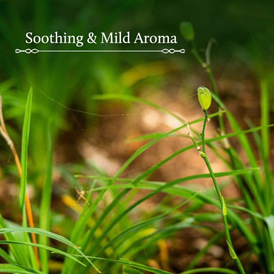 Blue Nectar Shubhr Steam Distilled Vetiver Toner Water & Cooling Calming Face Tonic Mist |Alcohol Free | Chemical & Preservative Free (100 ml)