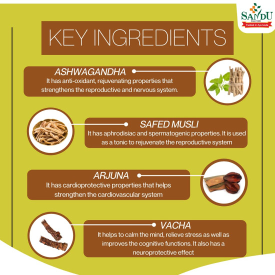 Sandu Aswhagandharishta | (450 ml) Sandu Aswhagandharishta | (450 ml)