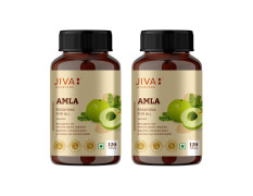 Jiva Amla Tablets 500mg 240 Tablets | 100% Herbs Used, Rich In Vitamin C | Rich In Antioxidants | Improves Digestion | Enhances Vision - 120 Tablet (Pack of 2)