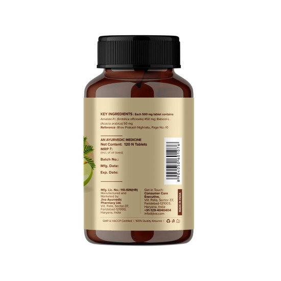 Jiva Amla Tablets 500mg 240 Tablets | 100% Herbs Used, Rich In Vitamin C | Rich In Antioxidants | Improves Digestion | Enhances Vision - 120 Tablet (Pack of 2)