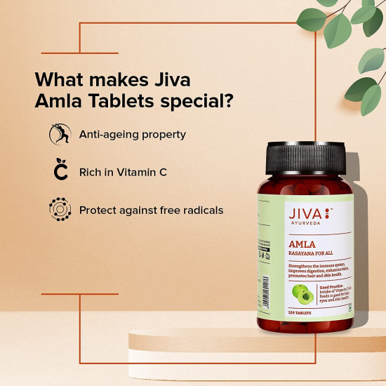 Jiva Amla Tablets 500mg 240 Tablets | 100% Herbs Used, Rich In Vitamin C | Rich In Antioxidants | Improves Digestion | Enhances Vision - 120 Tablet (Pack of 2)