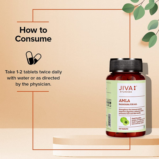 Jiva Amla Tablets 500mg 240 Tablets | 100% Herbs Used, Rich In Vitamin C | Rich In Antioxidants | Improves Digestion | Enhances Vision - 120 Tablet (Pack of 2)