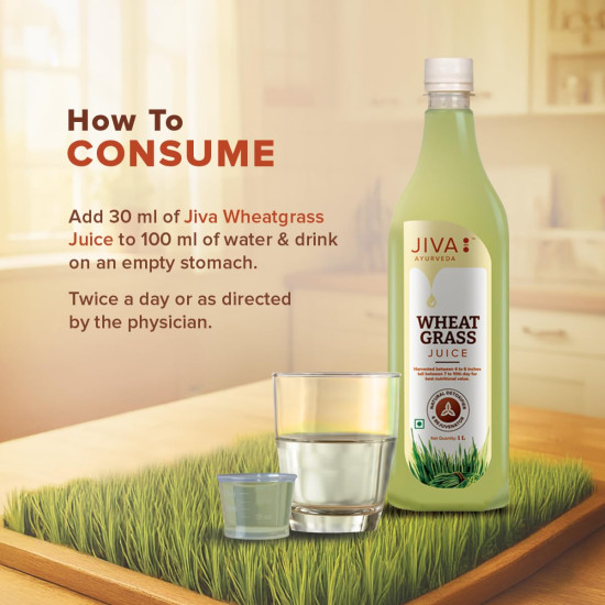 Jiva Wheatgrass Juice | Help to Boost Immunity | Helps In Weight Management - 1Ltr (Pack of 1)