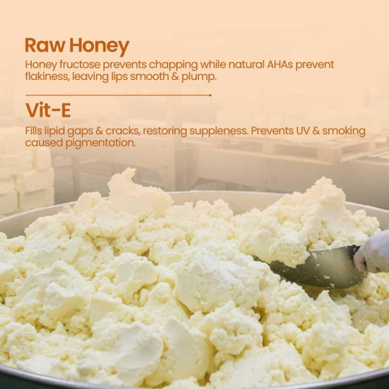 Nat Habit Kokum Honey Lip Balm Fresh Infused Lip Butter With Desi Ghee & Raw Honey For Lip Pigmentation, Lightening, Lip Repair, Dark And Chapped Lips, 8g Nat Habit Kokum Honey Lip Balm Fresh Infused Lip Butter With Desi Ghee & Raw Honey For Lip Pigmentation, Lightening, Lip Repair, Dark And Chapped Lips, 8g