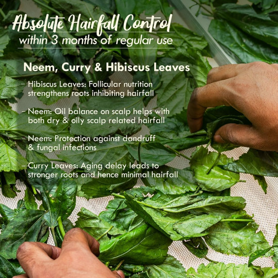 Nat Habit Tri-Leaf Rosemary Hair Oil For Men & Women Hairfall Reduction, Suitable For All Hair Types, No Paraffin, Mineral Oil, Preservatives & Chemicals, 200ml