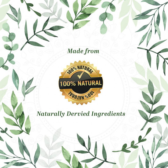 KHADI NATURAL Henna & Amla Fruit Organic Powder