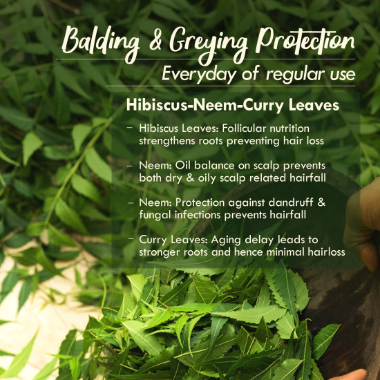 Nat Habit Men's Revital Summer Dasabuti Hair Oil For Hairfall & Dandruff Control, Scalp Massage With Fresh 16 Herbs, Castor, Coconut, Amla, 200ml Nat Habit Men's Revital Summer Dasabuti Hair Oil For Hairfall & Dandruff Control, Scalp Massage With Fresh 16 Herbs, Castor, Coconut, Amla, 200ml