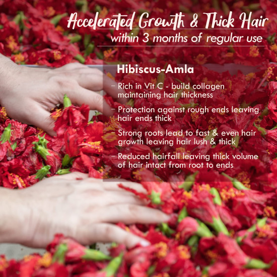 Nat Habit Hibiscus Amla Hair Oil For Men & Women, Helps In Hair Growth & Thickness, For All Hair Types, No Paraffin, Mineral Oil, Preservatives & Chemicals, 200ml