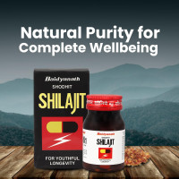 Baidyanath Shodhit Shilajit Capsules (30 Capsules)
