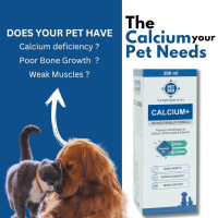 PET360 Calcium+ Advanced Mobility Formula with Calcium, Amino Acids & Vitamins for Dogs & Cats | Bone Growth, Muscle Strength & Nerve Support | Nutritional Supplements for Pets - 200 ml