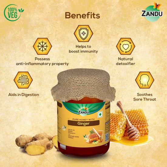 Zandu Pure Honey with Ginger: Specially Formulated to Meet Holistic Wellness Needs | Offers Relief from Cough and Cold | Helps Boost Immunity & Supports Digestive Health (Pack of 650 g)