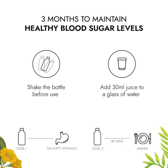 Kapiva Dia Free Juice, 1L | Clinically Proven Diabetic care | Amla, Karela, Jamun, Guduchi & 7 More (Pack of 2)