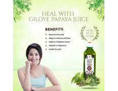 Axiom Ayurveda Giloye Papaya Cold Pressed Juice 500ml (Pack of 2) | Platelets Booster & Rapidly Neutrilize All Types of Fever | 100% WHO GMP GLP Certified Ayurvedic Juice