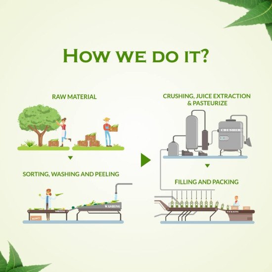 Axiom Ayurveda Giloye Papaya Cold Pressed Juice 500ml (Pack of 2) | Platelets Booster & Rapidly Neutrilize All Types of Fever | 100% WHO GMP GLP Certified Ayurvedic Juice