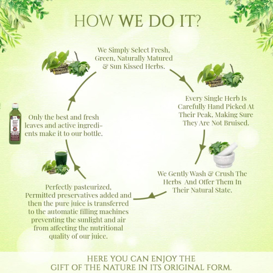 Axiom Ayurveda Giloye Papaya Cold Pressed Juice 500ml (Pack of 2) | Platelets Booster & Rapidly Neutrilize All Types of Fever | 100% WHO GMP GLP Certified Ayurvedic Juice