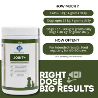 PET360 Joint+ Chondroprotective Formula - 100 gm | Hip, Joints, Cartilage Supplement for Dogs & Cats for Improved Mobility & Pain Relief with Glucosamine, Chondroitin, MSM | Suitable for All Breeds