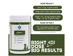 PET360 Joint+ Chondroprotective Formula - 100 gm | Hip, Joints, Cartilage Supplement for Dogs & Cats for Improved Mobility & Pain Relief with Glucosamine, Chondroitin, MSM | Suitable for All Breeds