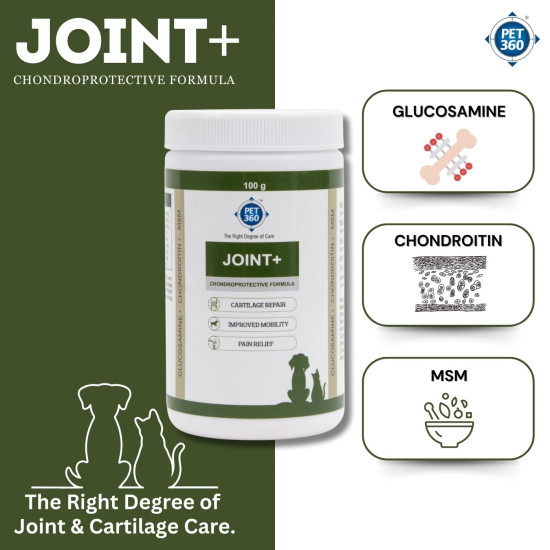PET360 Joint+ Chondroprotective Formula - 100 gm | Hip, Joints, Cartilage Supplement for Dogs & Cats for Improved Mobility & Pain Relief with Glucosamine, Chondroitin, MSM | Suitable for All Breeds