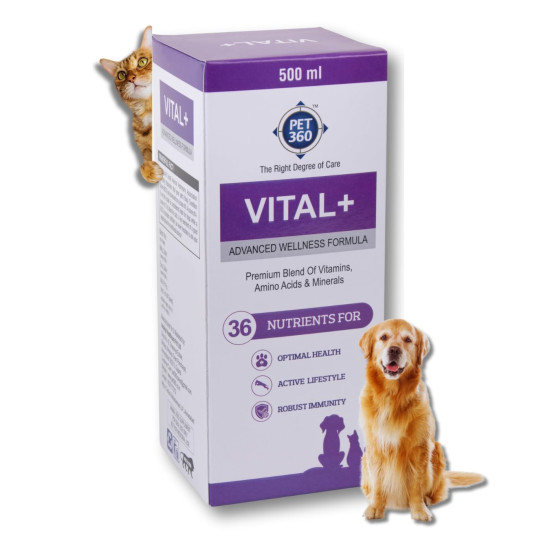 PET360 Vital+ Advanced Wellness Formula | Daily Multivitamin Syrup | Healthy Skin, Joints, Immunity & Growth | Nutritional Supplement for Dogs & Cats- 500 ml