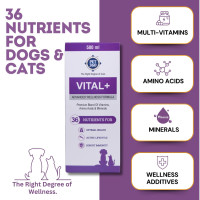 PET360 Vital+ Advanced Wellness Formula | Daily Multivitamin Syrup | Healthy Skin, Joints, Immunity & Growth | Nutritional Supplement for Dogs & Cats- 500 ml