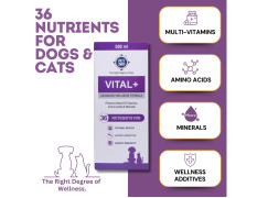PET360 Vital+ Advanced Wellness Formula | Daily Multivitamin Syrup | Healthy Skin, Joints, Immunity & Growth | Nutritional Supplement for Dogs & Cats- 500 ml