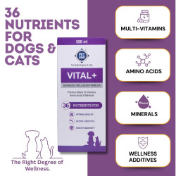 PET360 Vital+ Advanced Wellness Formula | Daily Multivitamin Syrup | Healthy Skin, Joints, Immunity & Growth | Nutritional Supplement for Dogs & Cats- 500 ml