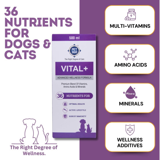 PET360 Vital+ Advanced Wellness Formula | Daily Multivitamin Syrup | Healthy Skin, Joints, Immunity & Growth | Nutritional Supplement for Dogs & Cats- 500 ml