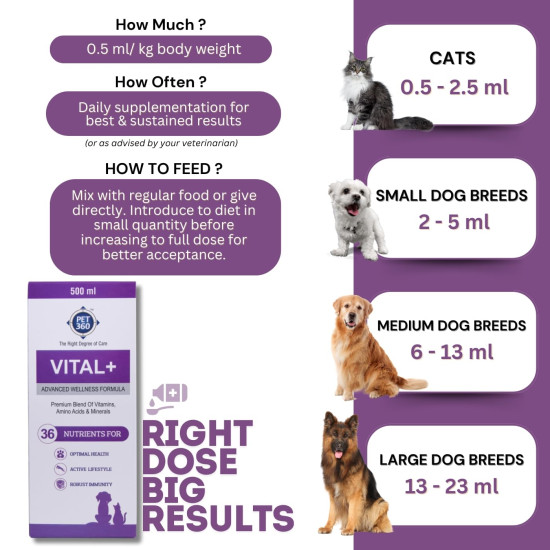 PET360 Vital+ Advanced Wellness Formula | Daily Multivitamin Syrup | Healthy Skin, Joints, Immunity & Growth | Nutritional Supplement for Dogs & Cats- 500 ml