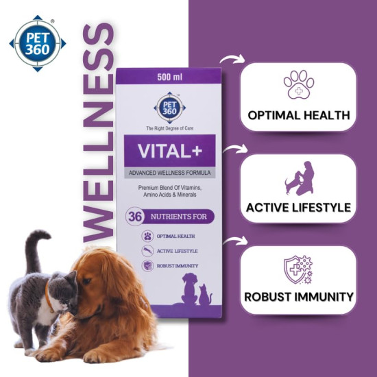 PET360 Vital+ Advanced Wellness Formula | Daily Multivitamin Syrup | Healthy Skin, Joints, Immunity & Growth | Nutritional Supplement for Dogs & Cats- 500 ml
