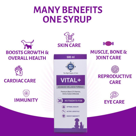 PET360 Vital+ Advanced Wellness Formula | Daily Multivitamin Syrup | Healthy Skin, Joints, Immunity & Growth | Nutritional Supplement for Dogs & Cats- 500 ml
