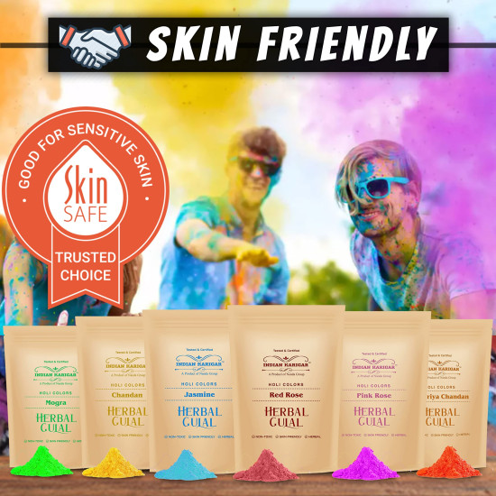 Indian Karigar Starch Holi Gulal for Holi Colour 480g 6 Flavor × 80g Herbal Gulal Organic Holi Colours for Family Non Toxic Holi Color Organic Skin Safe Holi Colors Holi Gifts Pack of 6 Multicolor