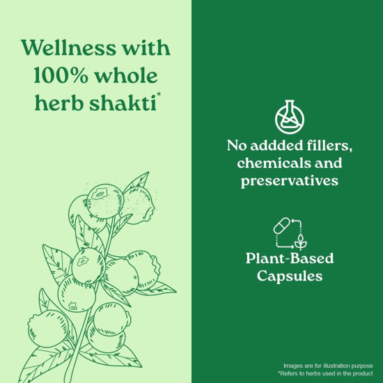 A TATA Product - Organic India Garcinia Cambogia - 60 Veg Capsules, GMP & NPOP Certified Organic