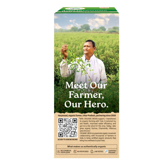 ORGANIC INDIA Tulsi Peppermint Refresh 25 Tea Bags || Stress Relieving & Rejuvenating || Feeling Refreshed || Tulsi Tea - 25 Tea Bags