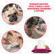 PETS EMPIRE Pet Wet Wipes, 160 Count Anti-Bacterial Cat & Dog Wipe, Soft Pet Moist Tissue Towelettes, Grooming Daily Care Wet Wipes for Dogs, Pups, Cats - Pack of 2 (15X20 cm) PETS EMPIRE Pet Wet Wipes, 160 Count Anti-Bacterial Cat & Dog Wipe, Soft Pet Moist Tissue Towelettes, Grooming Daily Care Wet Wipes for Dogs, Pups, Cats - Pack of 2 (15X20 cm)