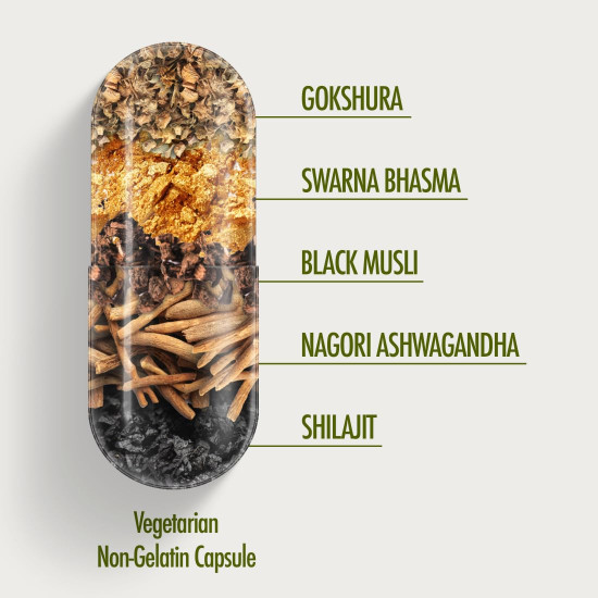 Kapiva Ashwagandha Gold 60 Caps |183rd day Nagori Ashwagandha | 5% Withanolide | Helps in Stress & Sleep Management | Improves Gym Performance | For Men & Women |100% Ayurvedic