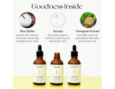 Nourish Mantra Anti-Greying Rice Water Serum with Rice Water, Arcolys & Fenugreek Extract/Effective Results Against Grey Hair & Hair Aging Signs/For Men & Women/All Hair Types - 50ml