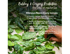 Nat Habit Men's 8 Herbs Hair Revital NutriMask - Hair Mask For Grey Hairs, Conditioning, Smoothening, Strengthen & Shine, Suitable For All Hair & Scalp Types (Pack of 2 x 40gm)