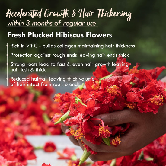 Nat Habit Five Oil Hibiscus Nutrimask-Hair Mask For Hair Growth, Conditioning, Smoothening, Dry & Frizzy Hair Enriched With Hibiscus Flowers, Hibiscus , Neem, Curry Leaves (Pack Of 2 X 40Grams)