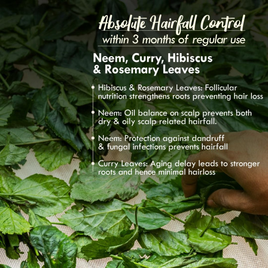 Nat Habit Tri-Leaf Rosemary NutriMask - Hair Mask For Hairfall, Conditioning, Smoothening & Shine, Suitable For all Scalp Types (Pack of 2 x 40gm) Nat Habit Tri-Leaf Rosemary NutriMask - Hair Mask For Hairfall, Conditioning, Smoothening & Shine, Suitable For all Scalp Types (Pack of 2 x 40gm)