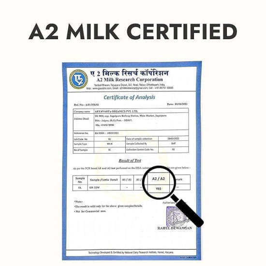 Kapiva A2 Desi Cow Ghee 500Ml | Bilona Method, Curd-Churned | Pure, Natural, Healthy | Grass-Fed Cultured Ghee - Super Saver Pack Of 2