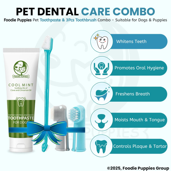 Foodie Puppies Pet Dental Oral Care Kit Combo - (Coolmint Toothpaste - 100g + 3Pcs Toothbrush) for Dogs | Soothes Inflame Gums, Remove Bad Breath, and Mix of Clove & Cinnamon Oil for Dogs and Puppies