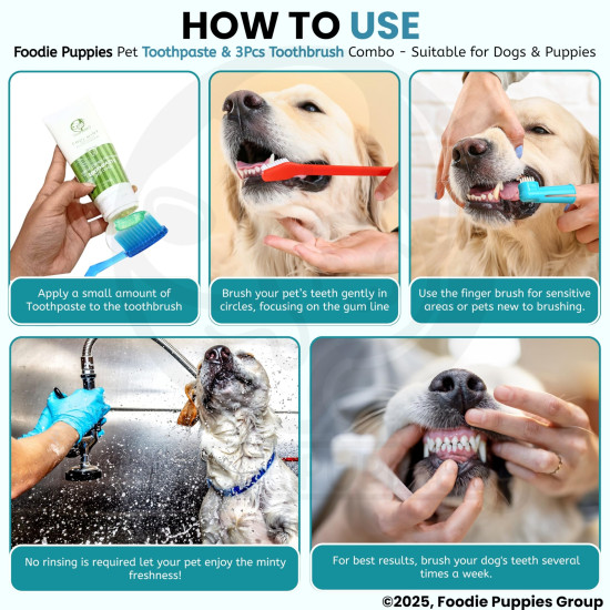 Foodie Puppies Pet Dental Oral Care Kit Combo - (Coolmint Toothpaste - 100g + 3Pcs Toothbrush) for Dogs | Soothes Inflame Gums, Remove Bad Breath, and Mix of Clove & Cinnamon Oil for Dogs and Puppies