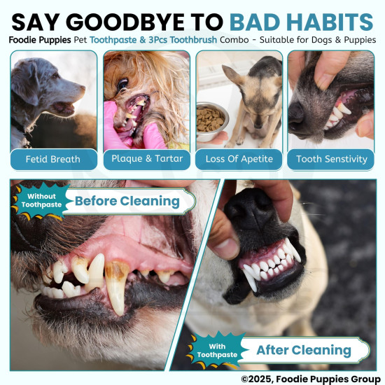 Foodie Puppies Pet Dental Oral Care Kit Combo - (Coolmint Toothpaste - 100g + 3Pcs Toothbrush) for Dogs | Soothes Inflame Gums, Remove Bad Breath, and Mix of Clove & Cinnamon Oil for Dogs and Puppies