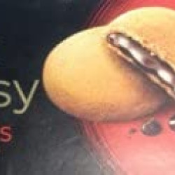 Unique Sunfeast Dark Fantasy Choco Fills 75g | Unique