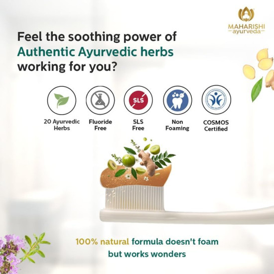 Maharishi Ayurveda Ayurdent Mild Herbal Ayurvedic Toothpaste - All Natural|21 Ayurvedic Herbs|Whitens&Strengthens Teeth|Helps Fight Plaque, Tartar, Cavity, Tooth Decay&Bad Breath|75 Ml, Pack of 1 Maharishi Ayurveda Ayurdent Mild Herbal Ayurvedic Toothpaste - All Natural|21 Ayurvedic Herbs|Whitens&Strengthens Teeth|Helps Fight Plaque, Tartar, Cavity, Tooth Decay&Bad Breath|75 Ml, Pack of 1