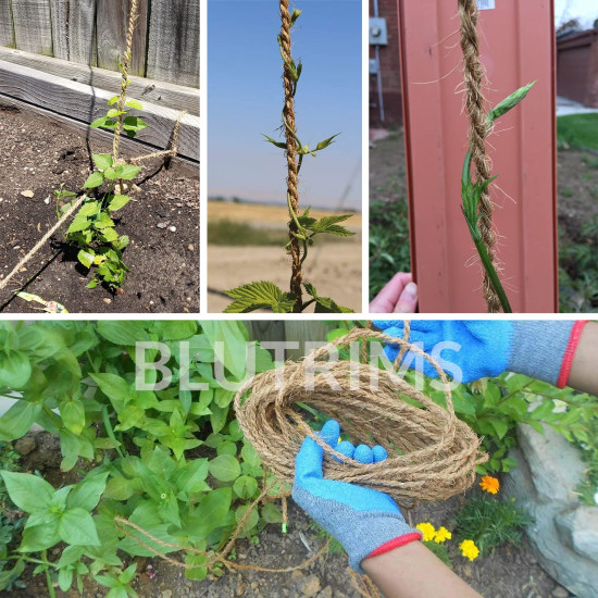 Coconut Fibre Coir Twine Rope, 100% Natural & Eco Friendly by Blutrims, 23 Feet Length (7 MTS) Pack of 4, for Garden use, Plant Hanger, Agriculture, DIY Home Decor, Craft