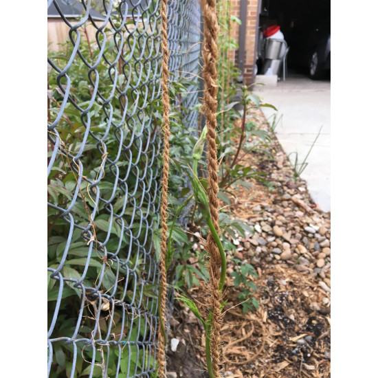 Coconut Fibre Coir Twine Rope, 100% Natural & Eco Friendly by Blutrims, 23 Feet Length (7 MTS) Pack of 4, for Garden use, Plant Hanger, Agriculture, DIY Home Decor, Craft