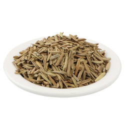 Yuvika Indrajau Kadwa - Bitter Jau - Holarrhena Pubescens - Coneru 200 Grams